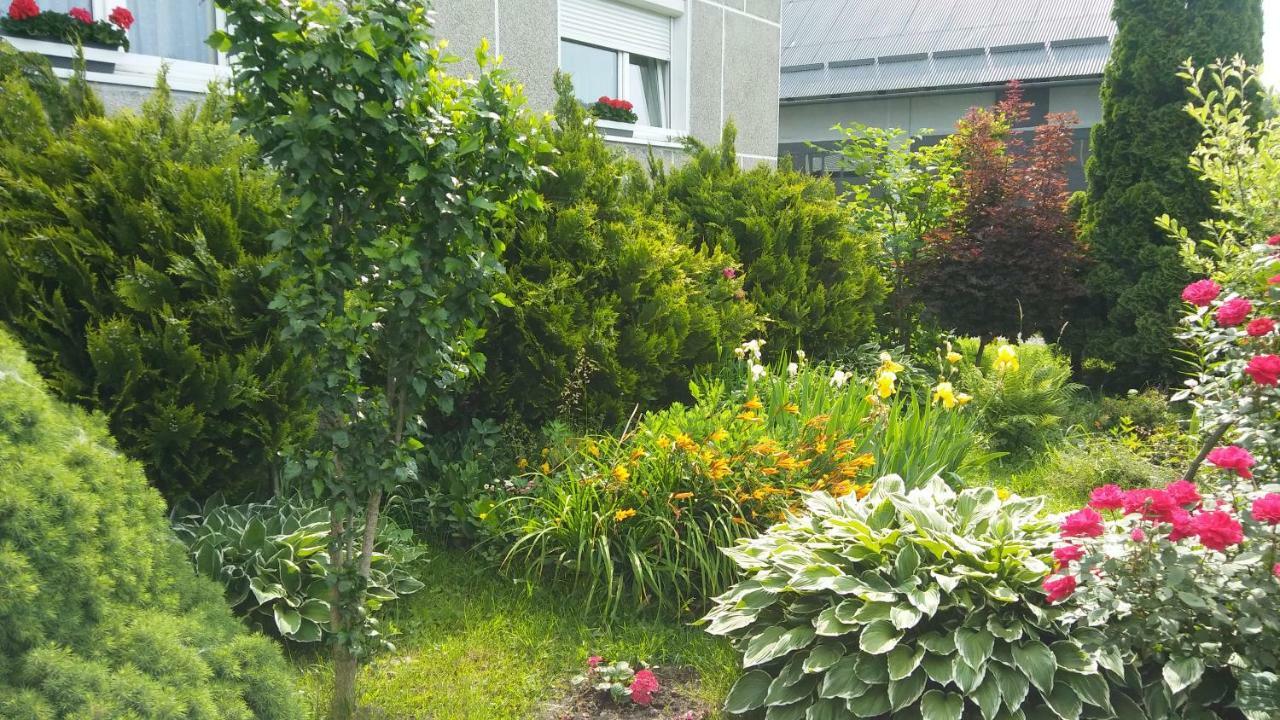 Apartament Jutrzenka Spytkowice  Esterno foto